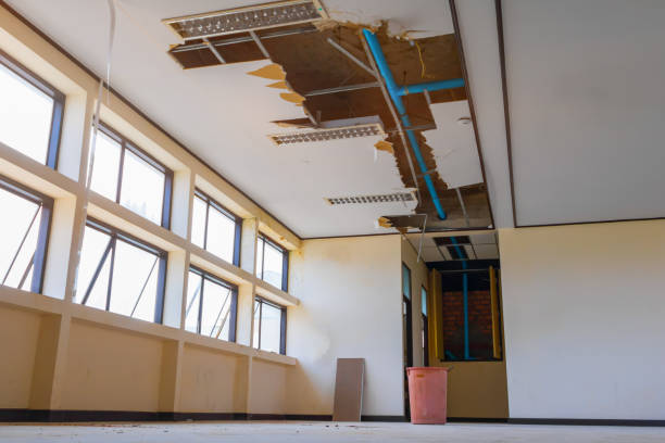 Best Carpet water damage restoration  in Alliance, OH