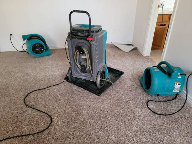 Best Ceiling water damage repair  in Alliance, OH