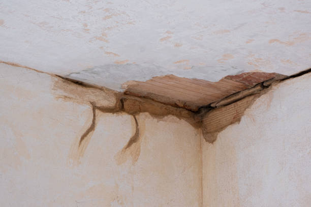 Best Sewage cleanup and water damage restoration  in Alliance, OH