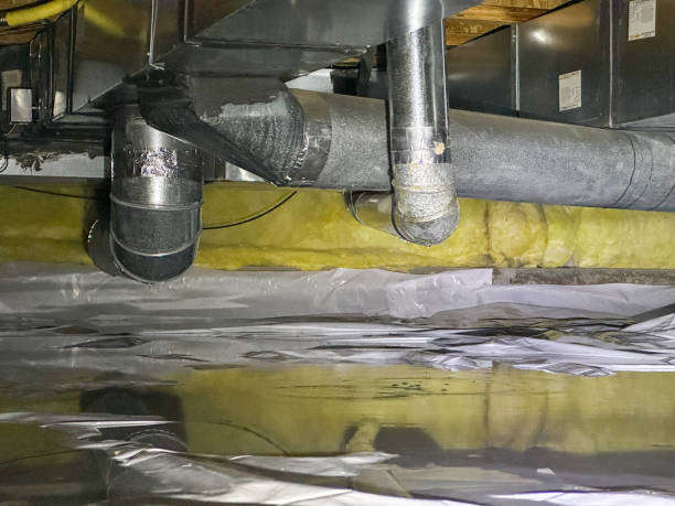 Best Flood restoration services  in Alliance, OH