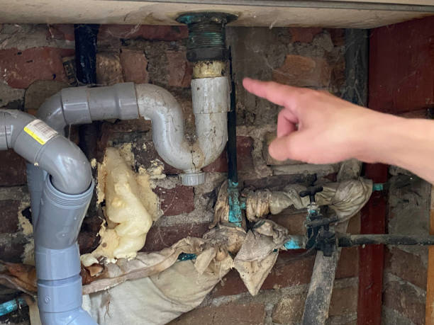 Best 24-hour water damage restoration  in Alliance, OH
