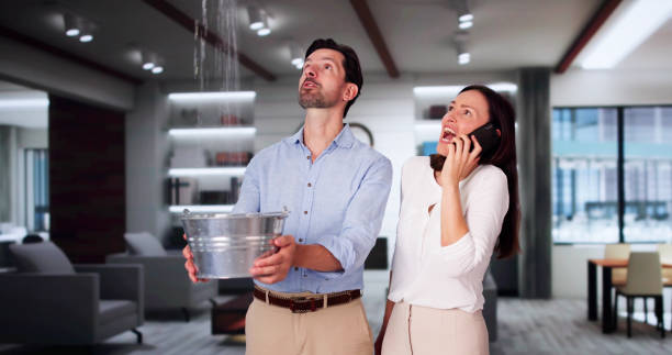 Best Local water damage restoration  in Alliance, OH